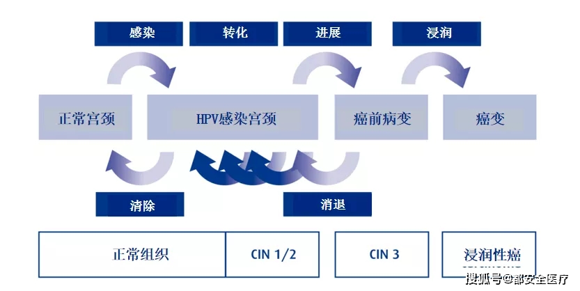有没有治hpv阳性转阴的特效药,用药三个月hpv还是阳性怎么办