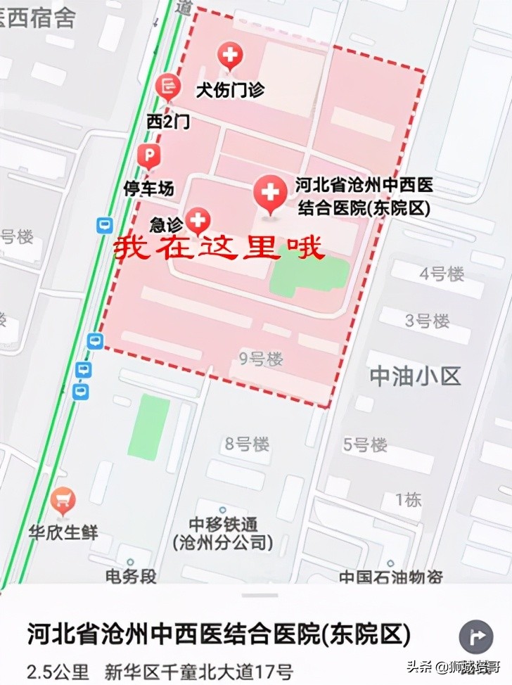 查看疫苗接种地点,开始查询疫苗接种记录