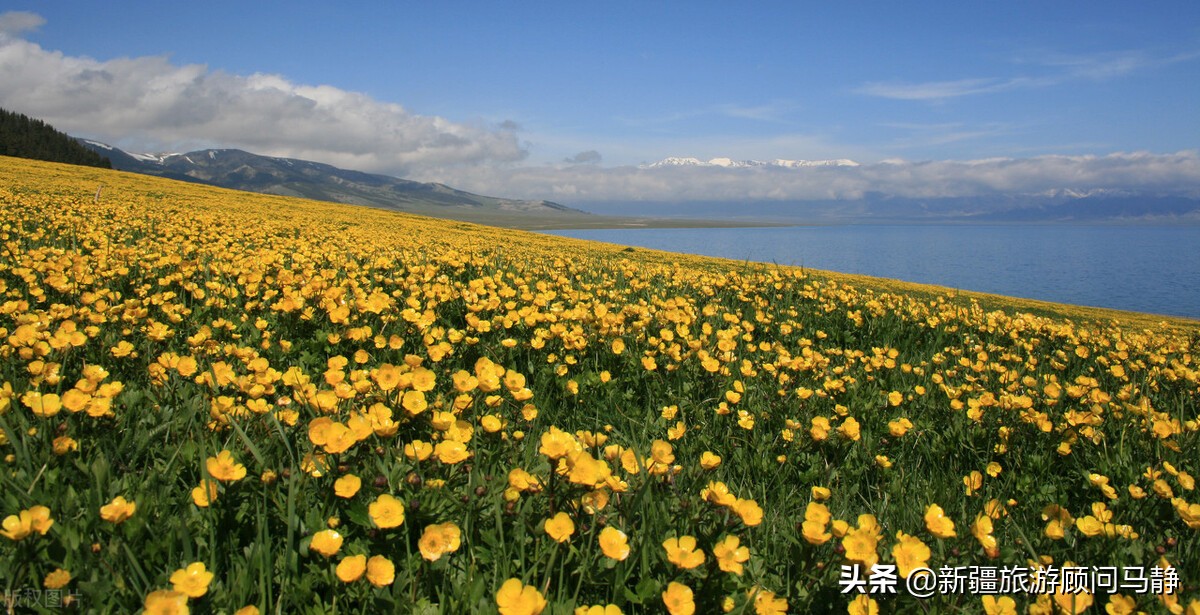 南京禄口机场疫情波及多地乌市：江苏、沈阳、中山来乌人员需隔离