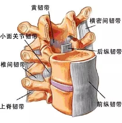 腰突腰痛怎么办最快缓解,腰突腰痛试试这九个动作