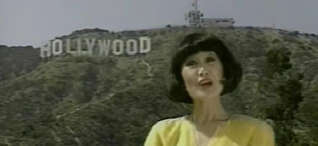 靳羽西的传奇一生,靳羽西的一生简历