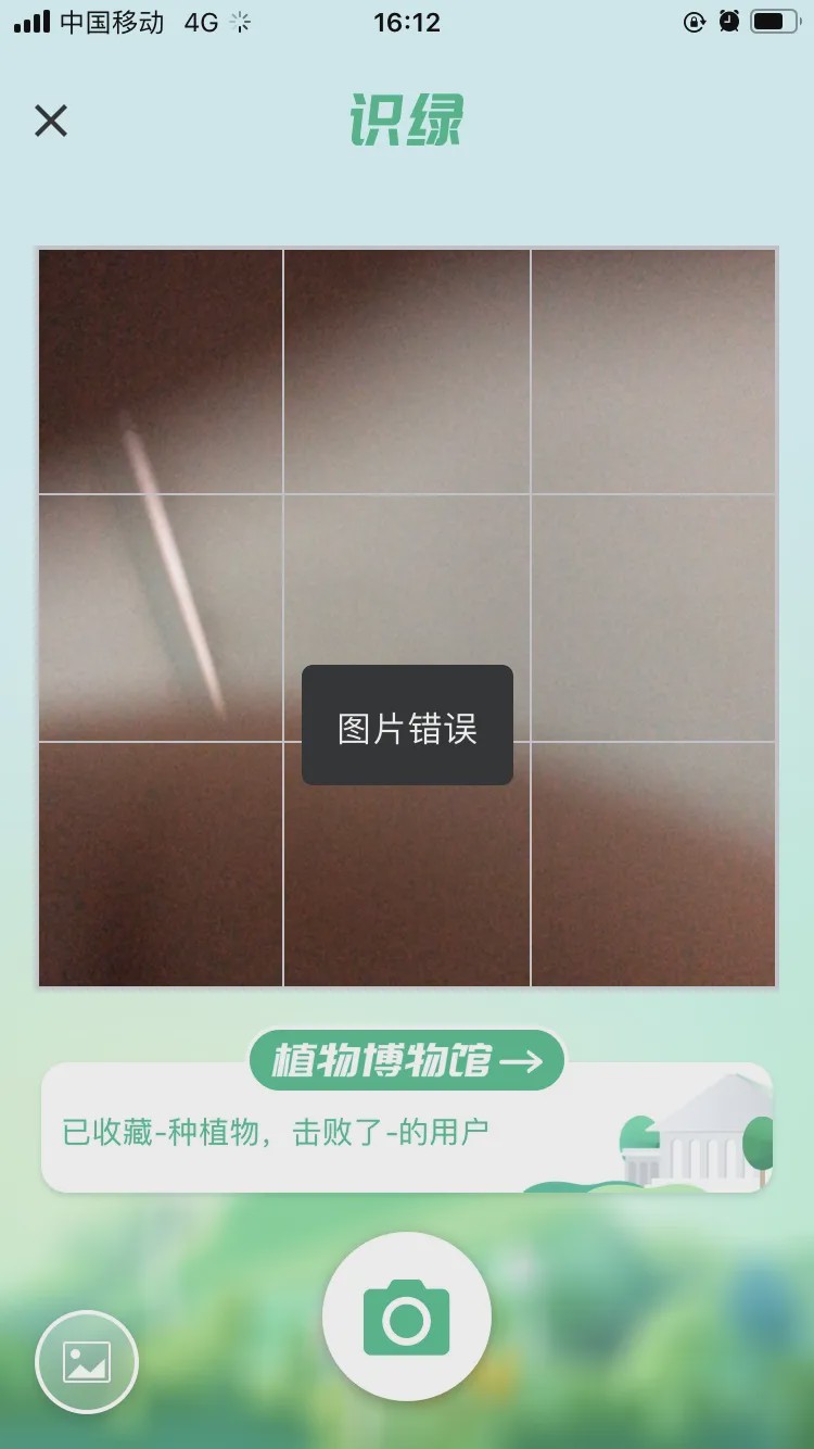 哪个识花软件最好用,识花app免费的哪个好