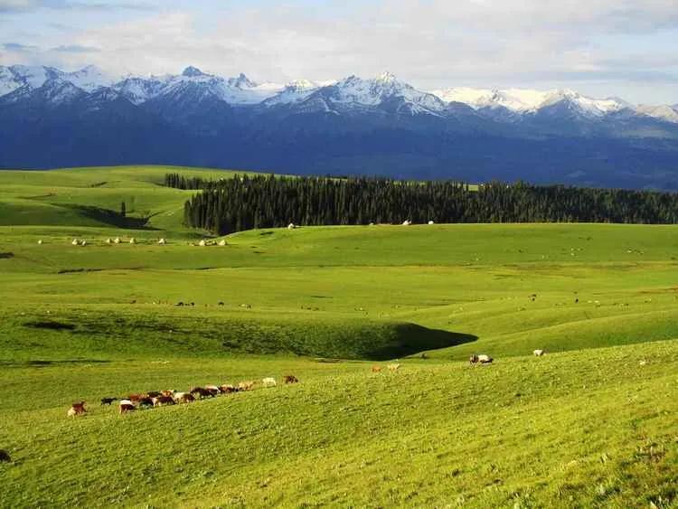 “小黄鱼”、“万元户”和美元霸权