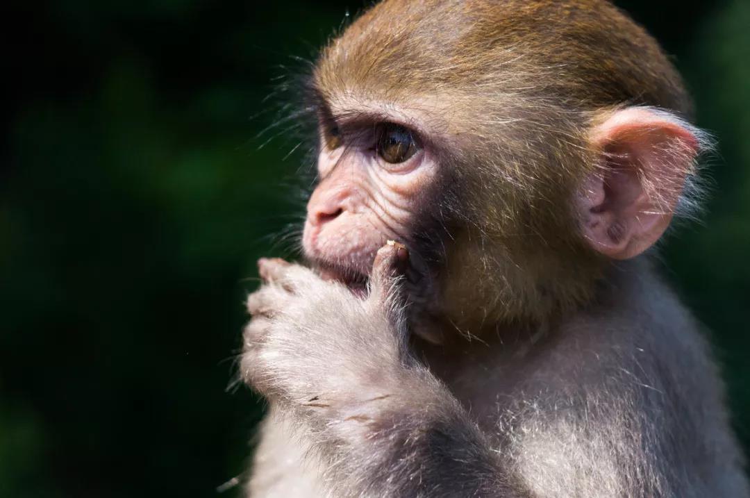 新门路小成本创业项目平台有哪些,十大无需本钱创业项目交流