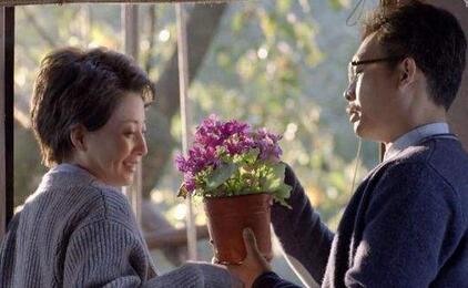 鸡毛飞上天感情诠释,鸡毛飞上天为人处事