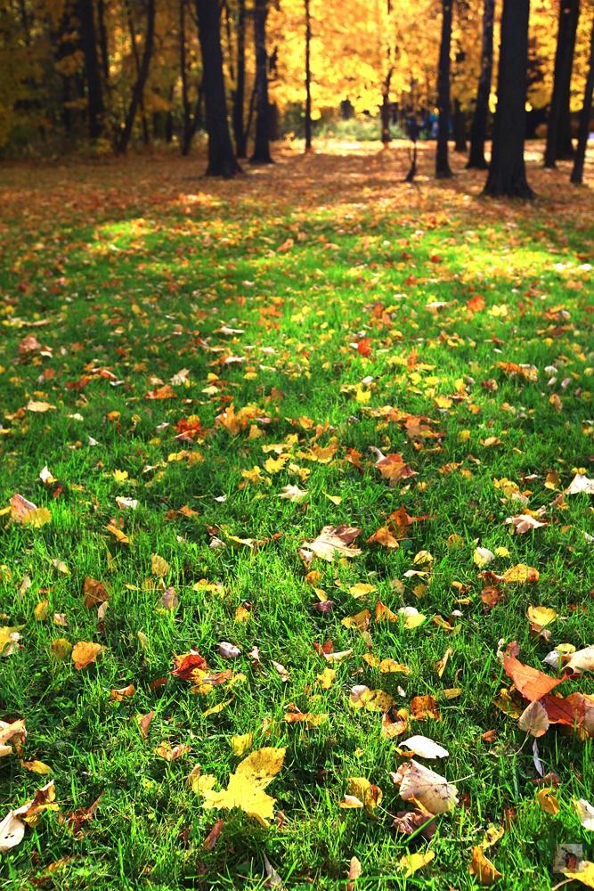 奢华宏伟,绝美的风景俄罗斯