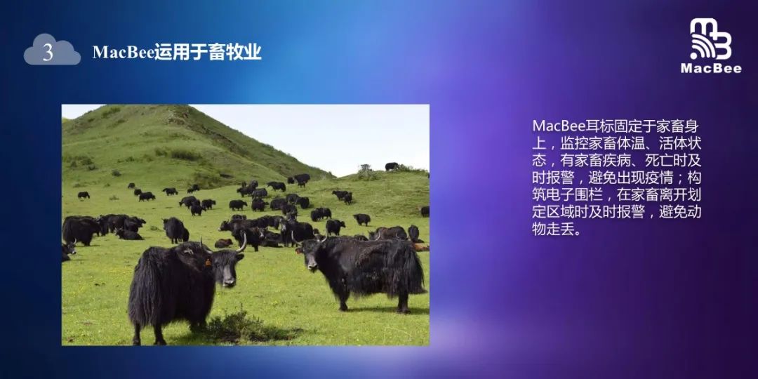 十年研发成果开源共享