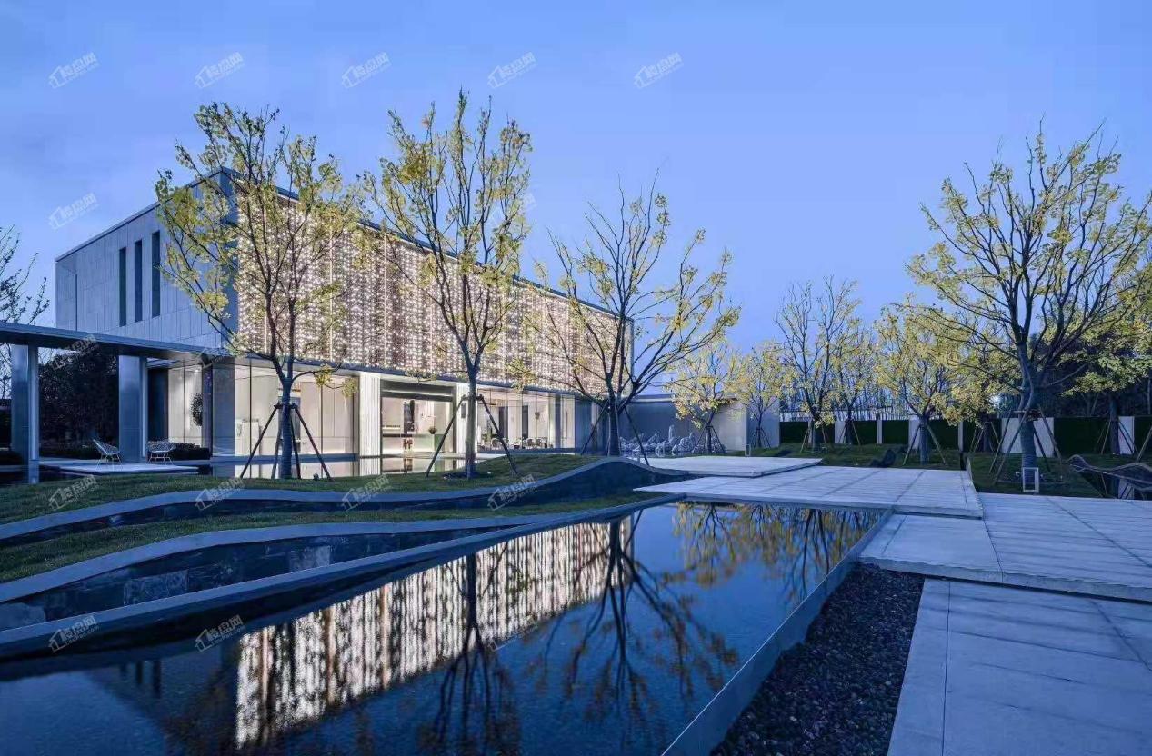 郑州房地产销售额排行榜,河南2019年房产销售个人冠军