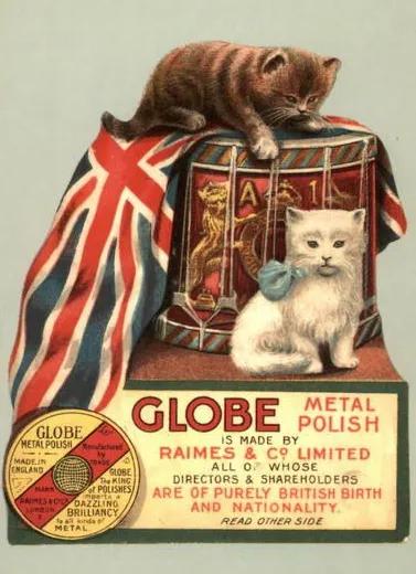 为什么古早广告会出现猫,为何古早广告中经常出现猫