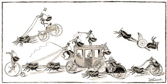 跳蚤的低鸣：我吸食人血，传染鼠疫，人类却只能为我肖像之！