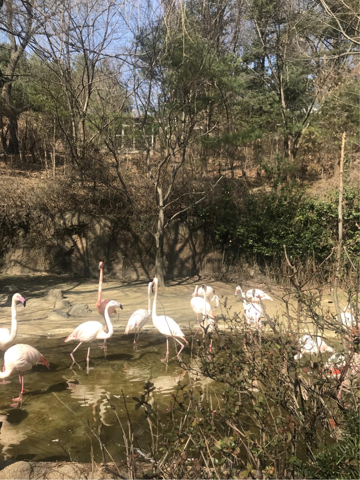 三星爱宝乐园面积,韩国爱宝乐园游乐园