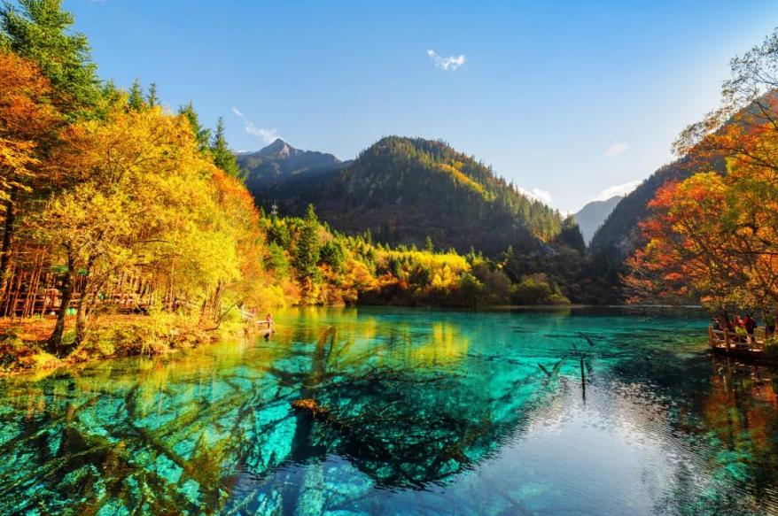 黄正华|客寄他乡两鬓秋,梦回少小一无忧(原创诗词十五首)