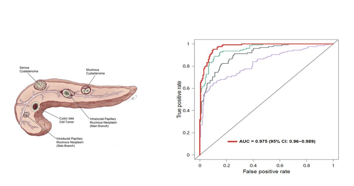 空谈技术优势,监管和价格依然是和瑞基因无法逃脱的两座高山