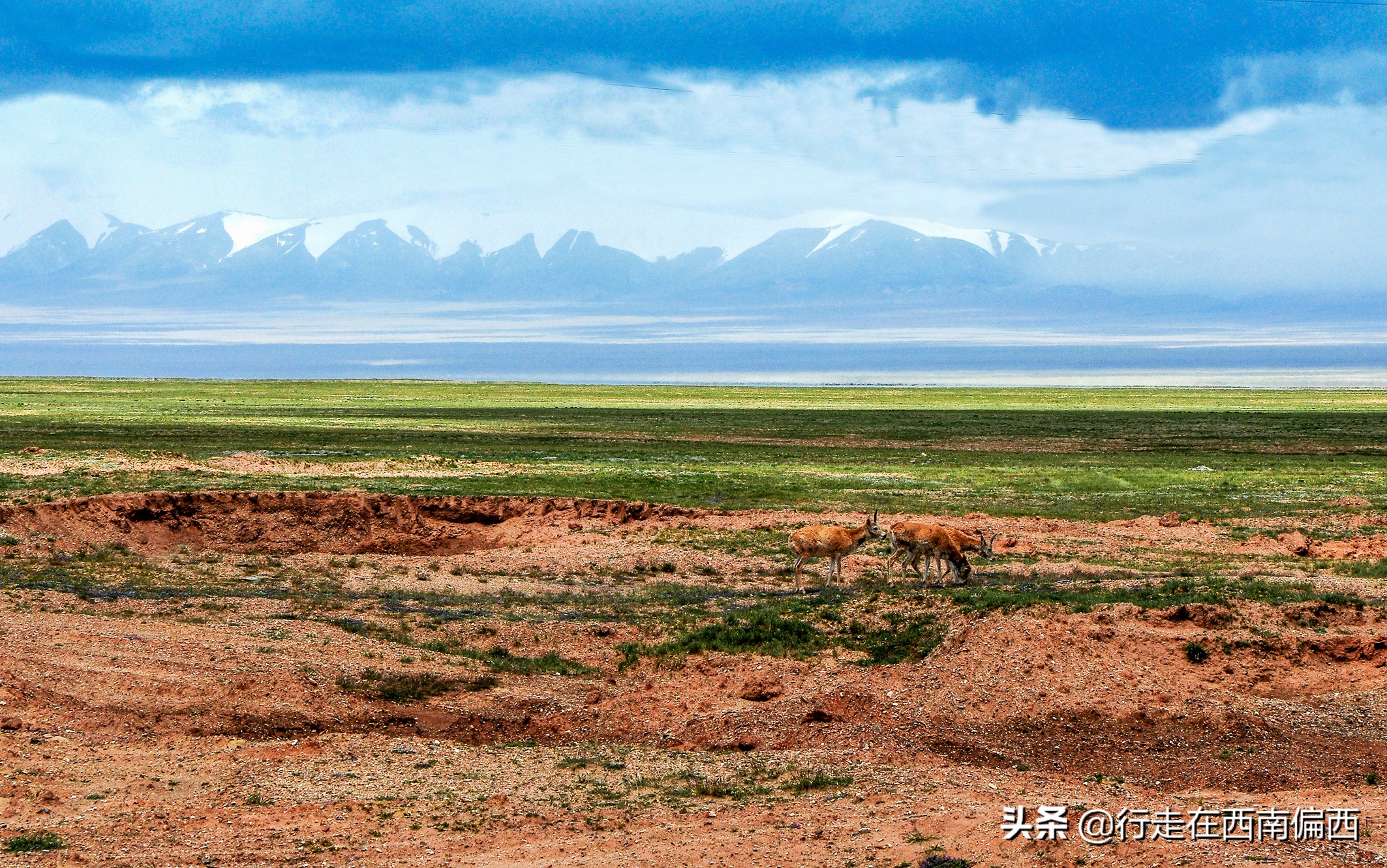 青藏线，光环之外，平凡之上的天路