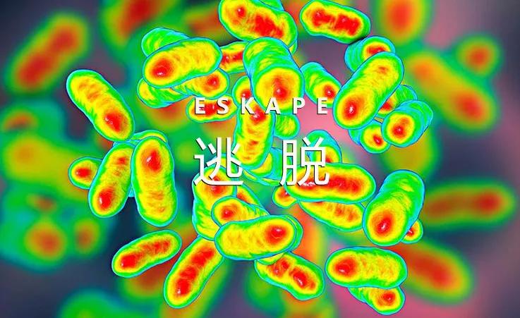 密室逃脱5逃出博物馆之太阳神庙,密室逃脱5逃出博物馆无敌版