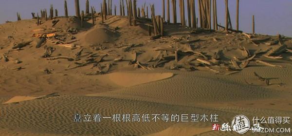 想了解真实的中国历史吗？建议看看这10部历史纪录片，受益终生！