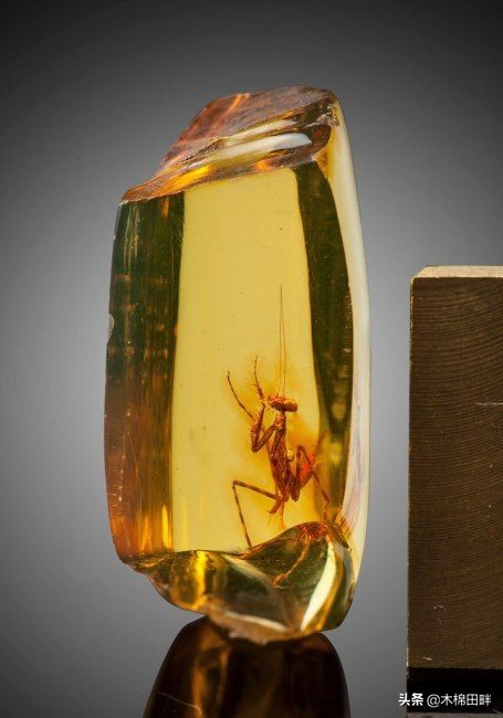 淘宝上的首饰,正品宝石首饰