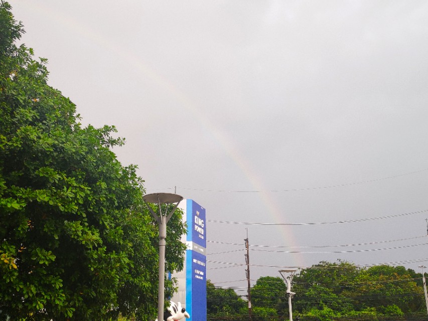 普吉岛王权免税店必购清单,普吉岛王权免税店为什么免费