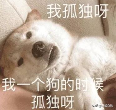 真的服了！北京2154万人口，我打个车都能拼到前男友……