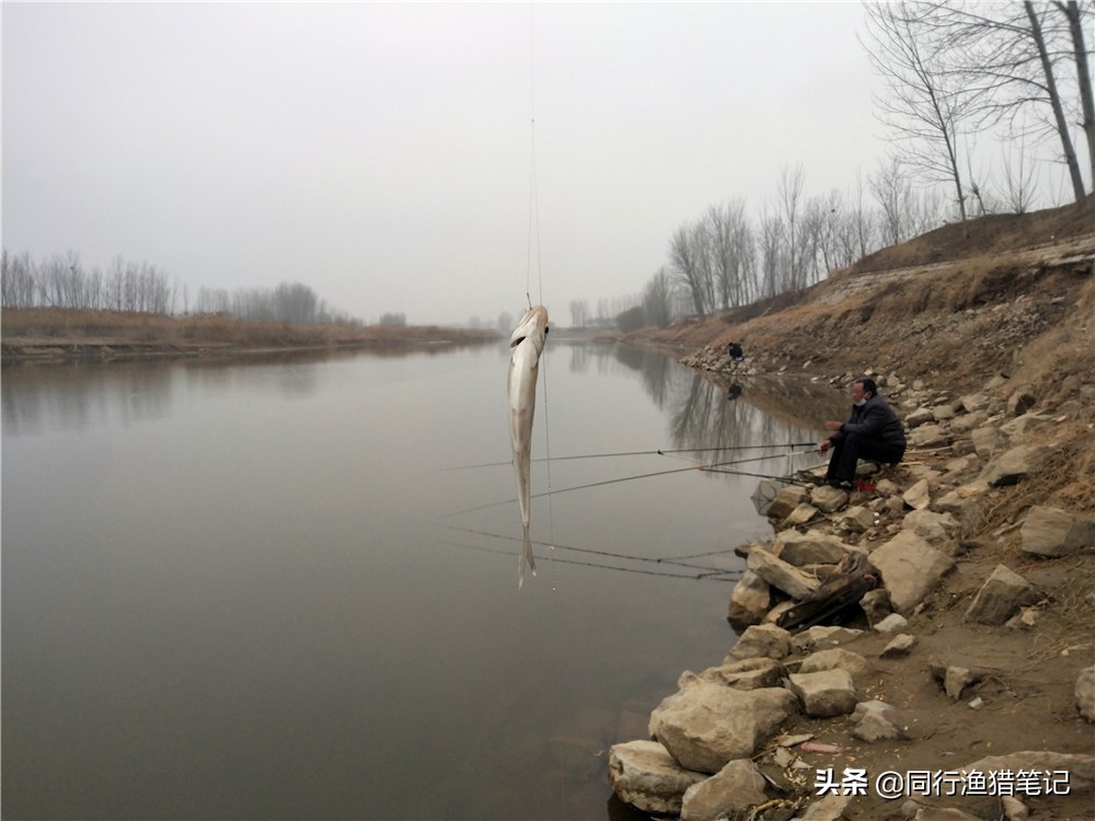 虽不起眼甚至饱受非议却应用广泛,分五方面了解方便线组