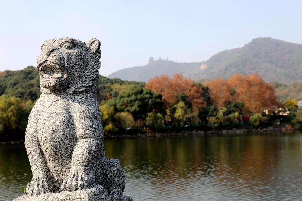 杭州最佳赏秋路线推荐,杭州附近赏秋的地方