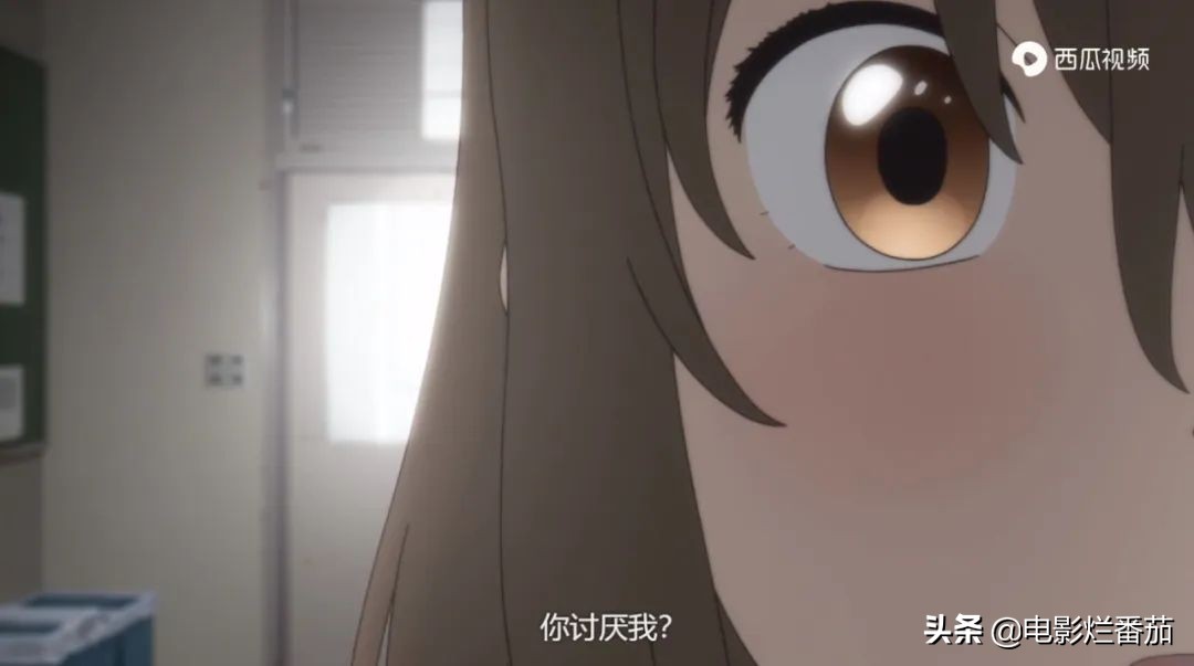 这部温情的撸猫片,让我哭得溃不成军,这是全世界猫*党**的胜利