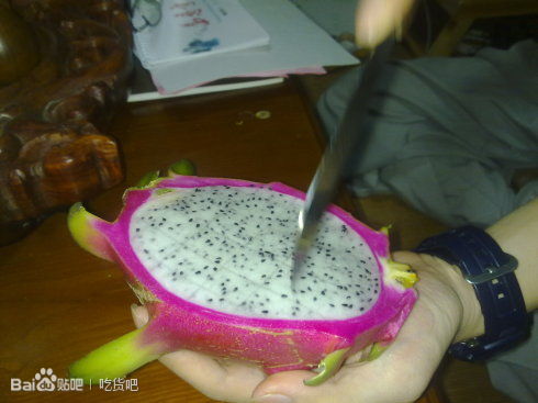 吃货必看的100个小技巧,吃货都有必要学会的小技巧