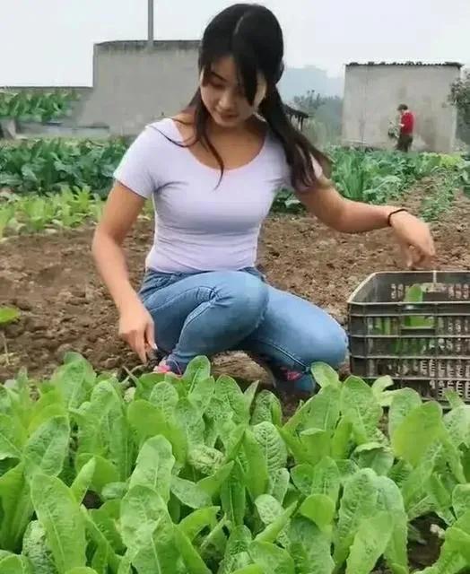 矮小的大哥外出闯荡终于成功了，把漂亮的大嫂娶回了家