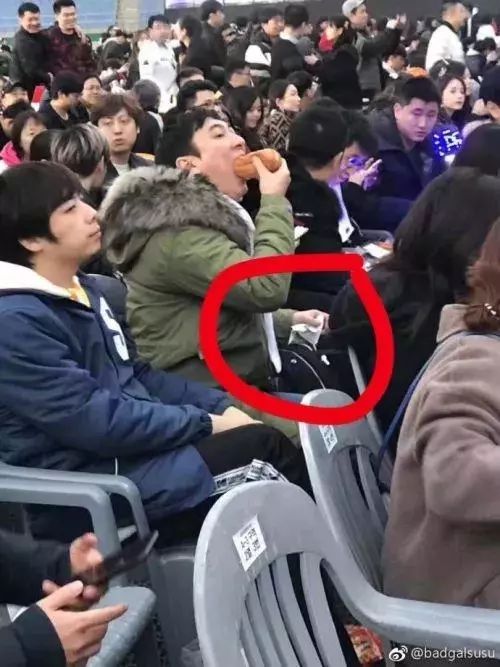 ig是什么社交平台,ig是什么意思