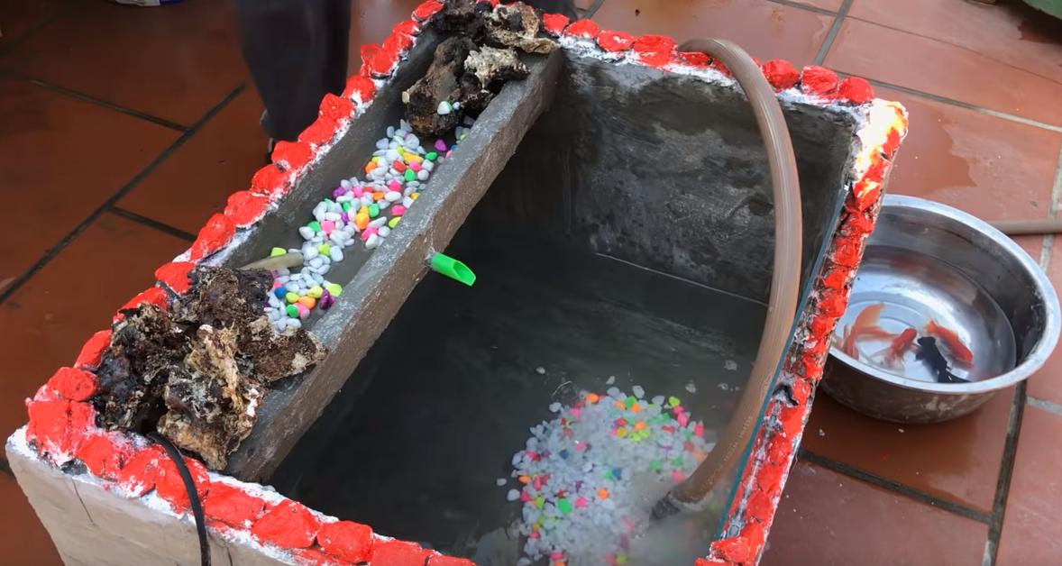 在家自做泡沫箱鱼缸,泡沫箱制作鱼缸养鱼