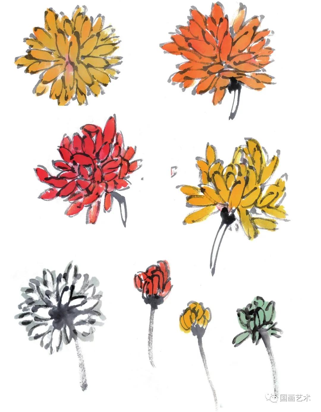 国画写意菊花龙爪菊,写意菊花画法教程简单