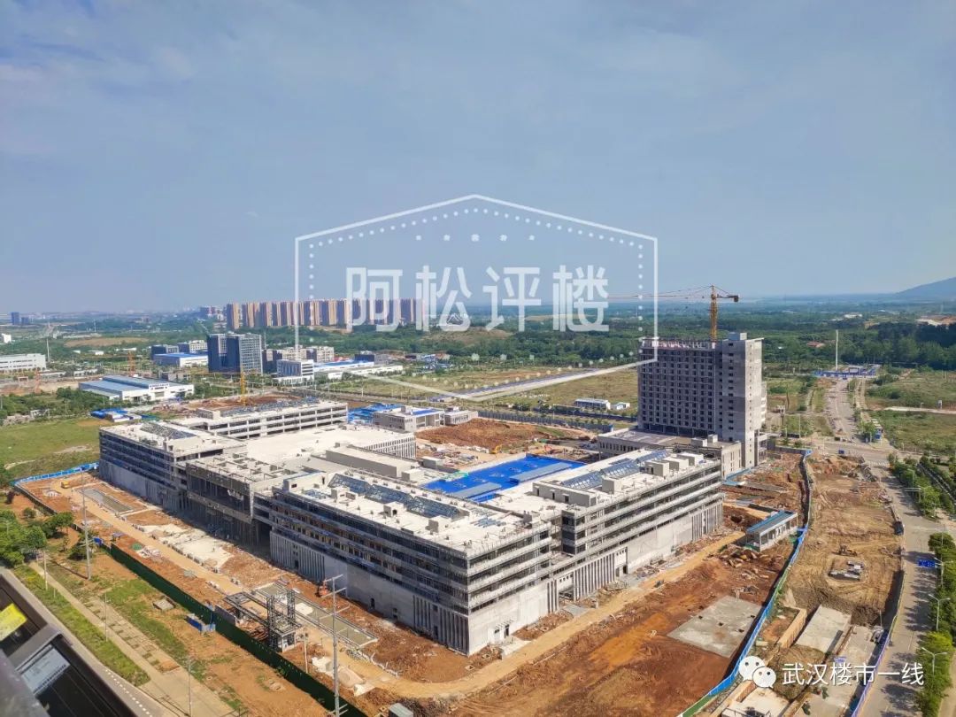 开挂了！比肩世界的爆款区域利好多到数不清！一般人已高攀不起