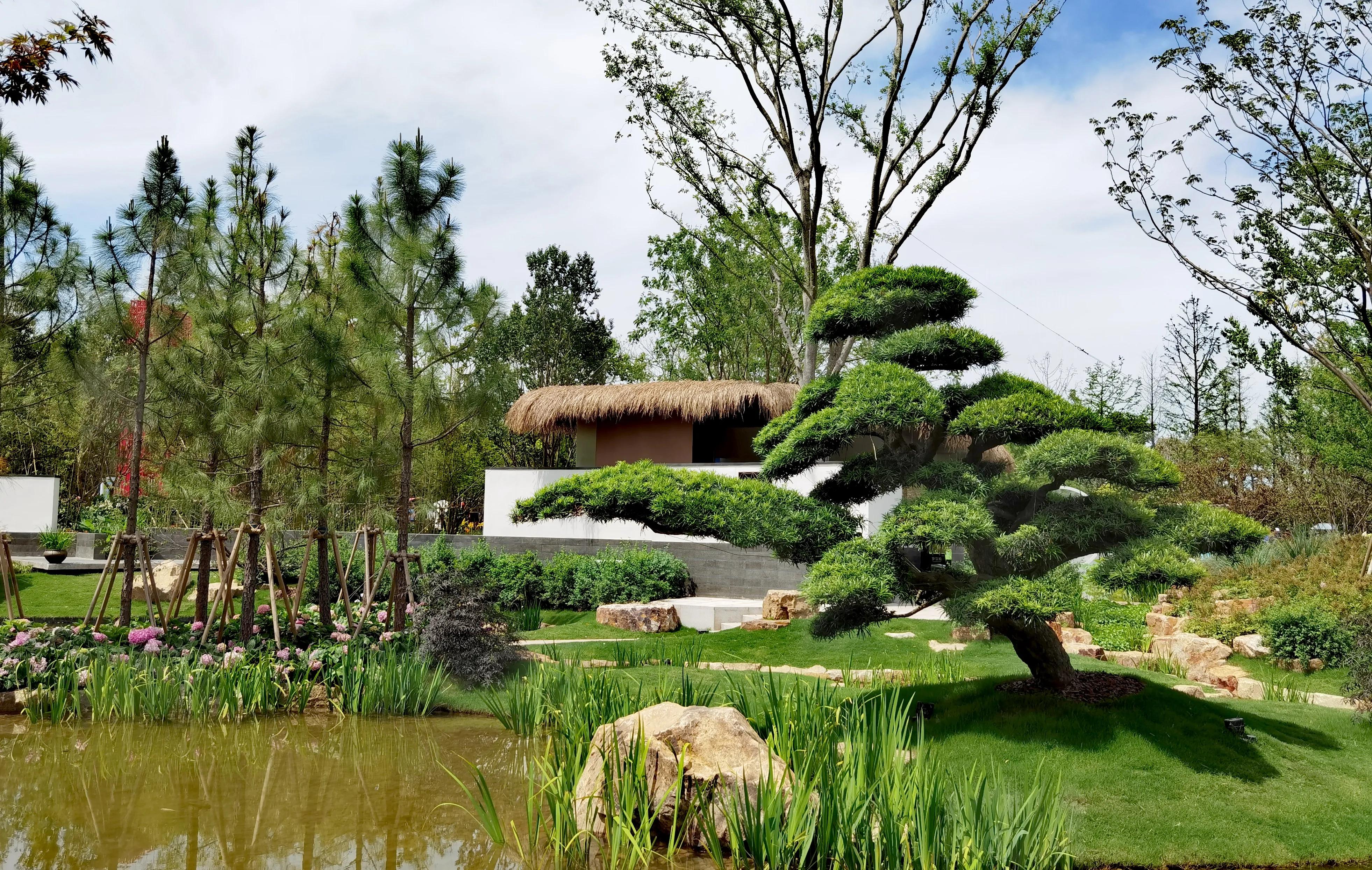关于崇明花博会,崇明花博会全程花景