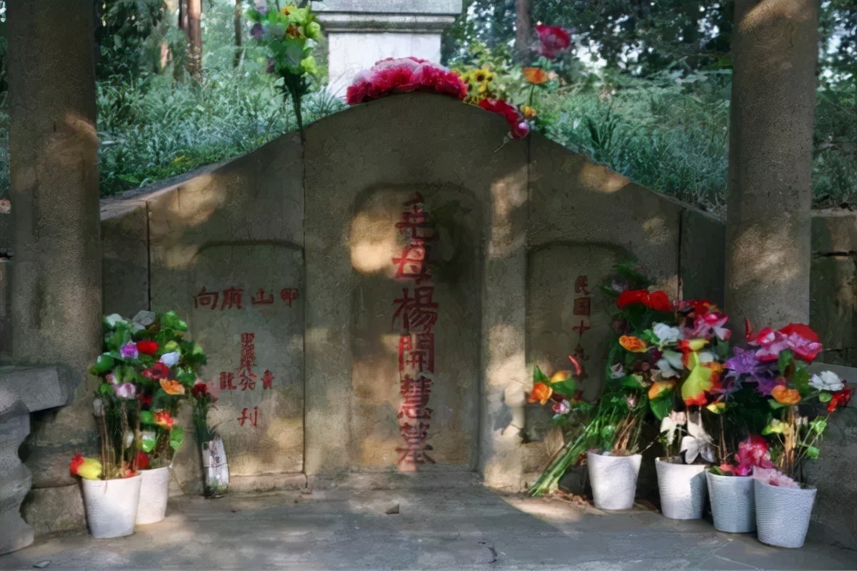 永远的骄杨——纪念杨开慧诞辰120周年