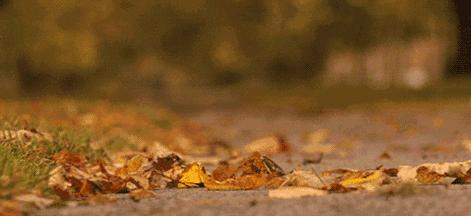 嗓子干痒、咳嗽感冒非常管用,老人小孩都爱吃