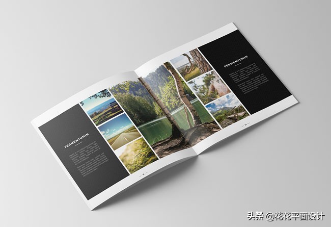 画册版式设计欣赏,艺术画册版式欣赏