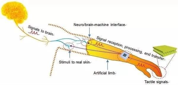 感觉统合失调的表现1岁,感觉统合失调触觉按摩