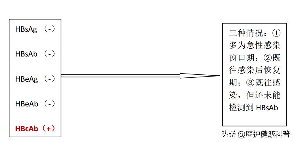 我有乙肝,想谈恋爱、结婚、生小孩……不可以吗?