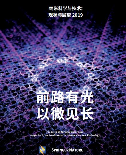 中科院纳米研究所,院士对中国科技发展有贡献吗