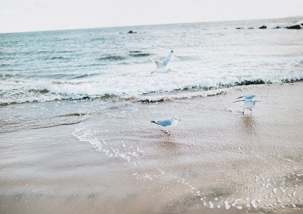 后期对焦不规范怎么解决,后键对焦后怎么对焦点不动