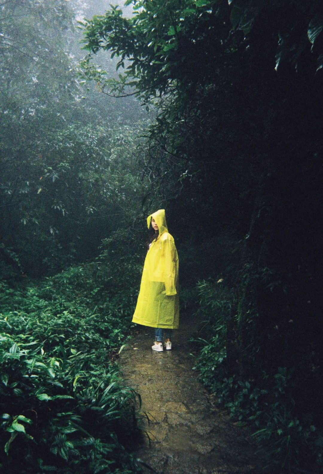 友情没有意义,友情是会消失的