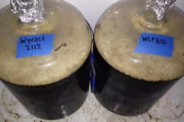 艾尔拉格啤酒区别,艾尔和拉格啤酒酿造区别在哪