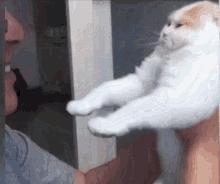 铲屎官别怕猫咪来保护你,猫咪对铲屎官的占有欲