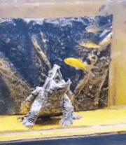 网上买的连衣裙到货了，店家连夜打电话跪求删除好评照片太尴尬了