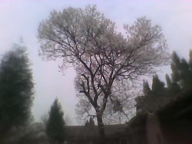 手机免费修复老照片软件,老照片扫描到手机