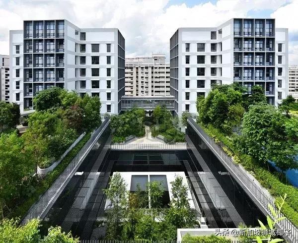 重磅!新加坡将再出新政,影响全岛百万人养老生活!