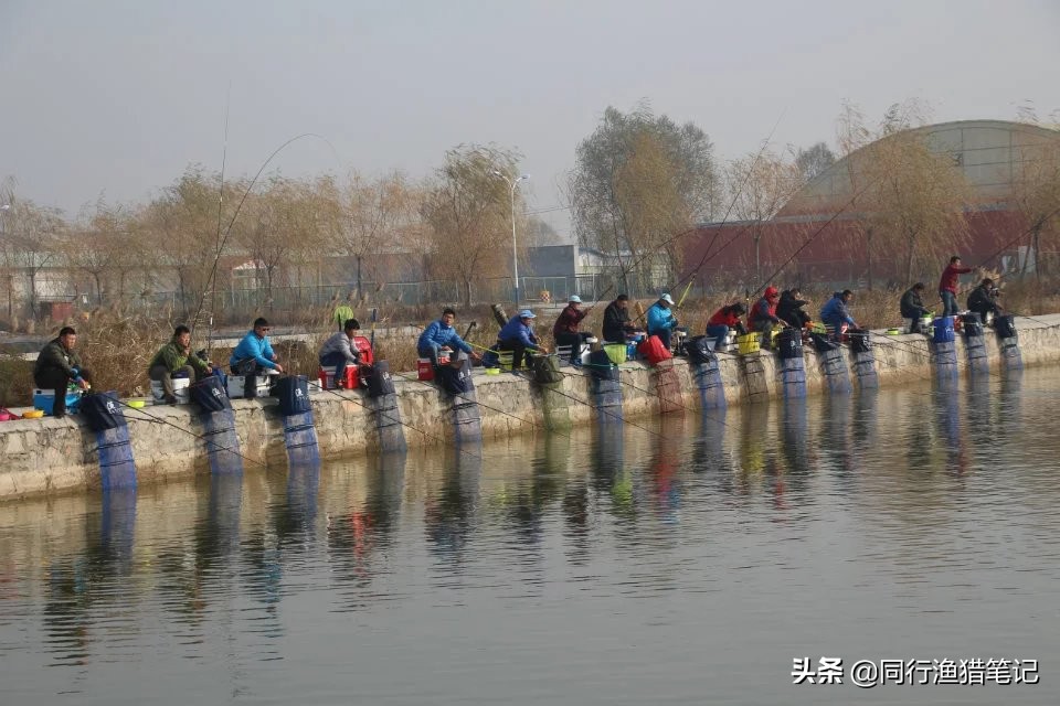 怎么钓黑坑才能赚钱,玩黑坑能挣钱吗