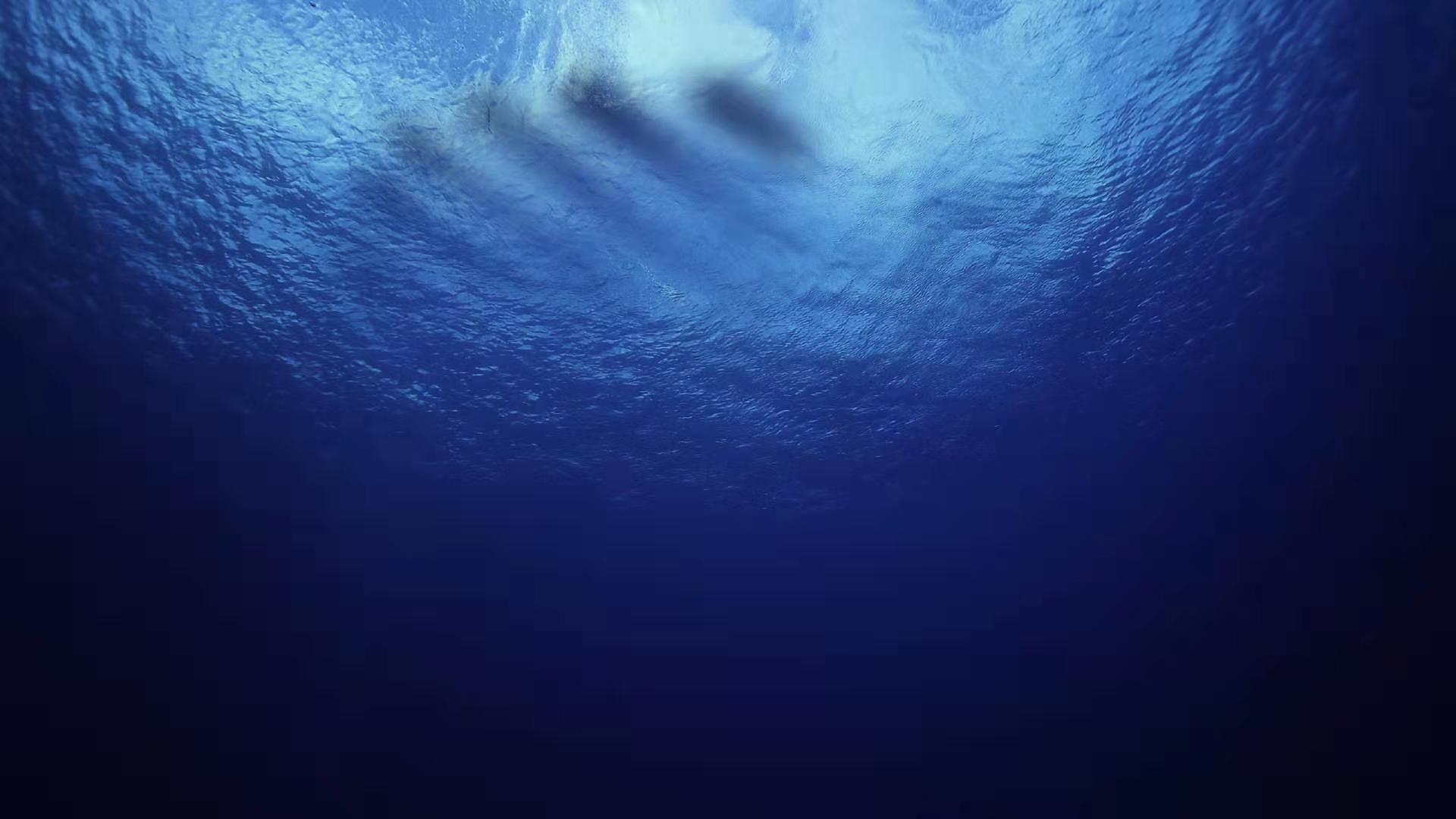 罗永浩谈演讲,老人与海演讲视频素材