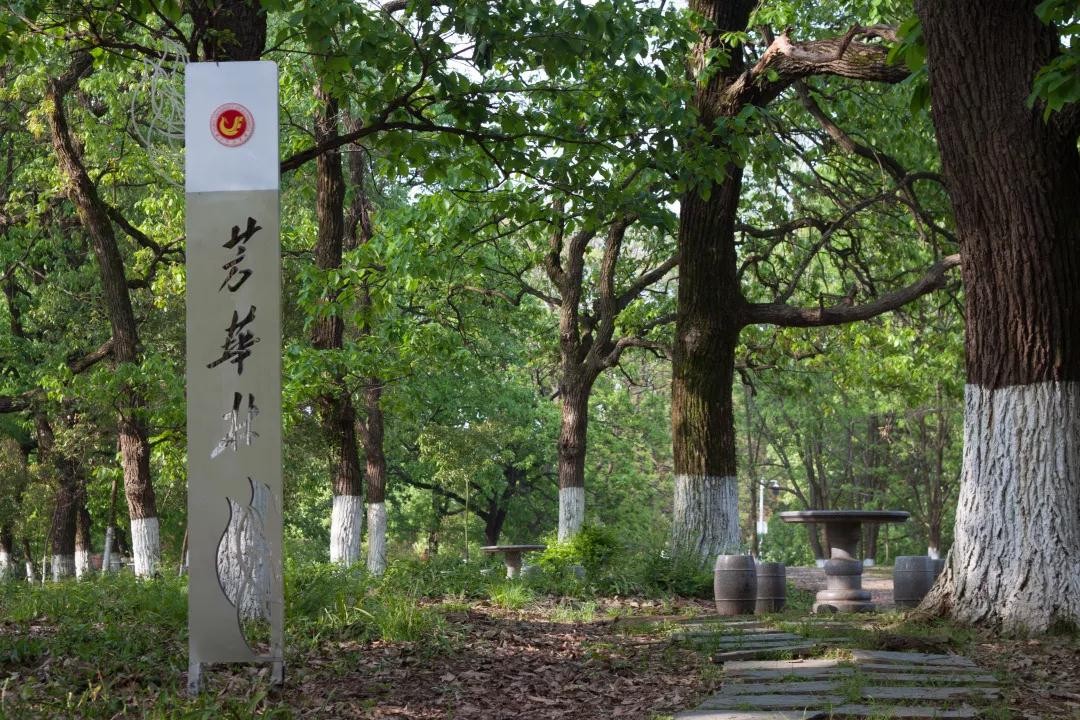 全国食堂最好吃的十所高校,全国最美高校食堂排名