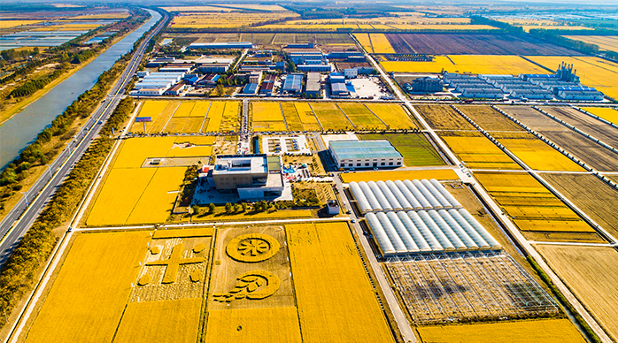 宿迁千年古县排名,宿迁面积最小的县